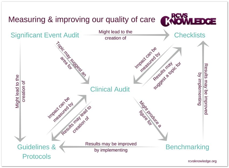 Figure 1: The relationships between audits and processes of quality improvement (RCVS Knowledge)