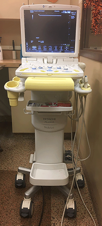 Figure 1. Ultrasound system (Noblus, Hitachi Aloka Medical, Twinsburg, OH).