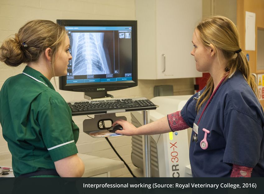 Image for Evidence-Based Healthcare: The Importance of Effective Interprofessional Working for High Quality Veterinary Services, a UK Example