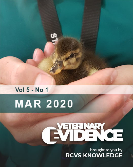 					View Vol. 5 No. 1 (2020): The first issue of 2020
				